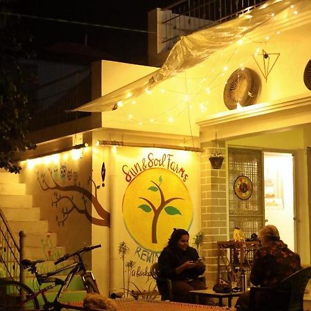 Sun N Soil Backpacker Hostel Lachhiwala Esterno foto