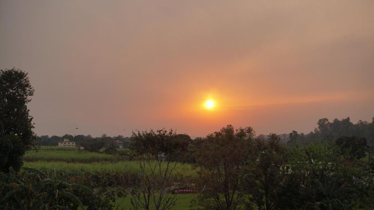 Sun N Soil Backpacker Hostel Lachhiwala Esterno foto
