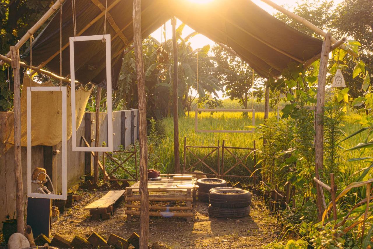 Sun N Soil Backpacker Hostel Lachhiwala Esterno foto